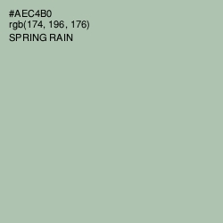 #AEC4B0 - Spring Rain Color Image